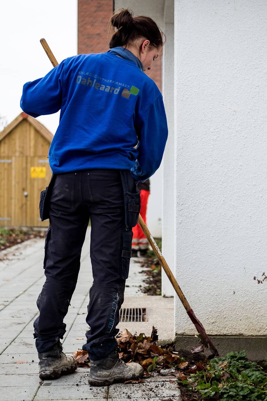 Beplantning i københavn