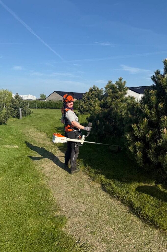 Gr&oslash;n vedligeholdelse, buskrydning, pleje